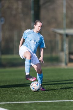 Bild 199 - F Hamburger SV 3 - Blau-Weiss 96 : Ergebnis: 5:1